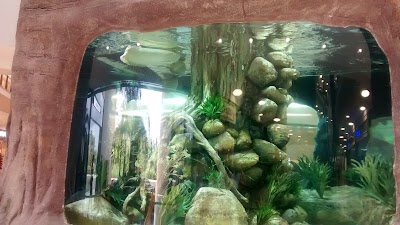 Photos of Acuario En C.C. Primavera