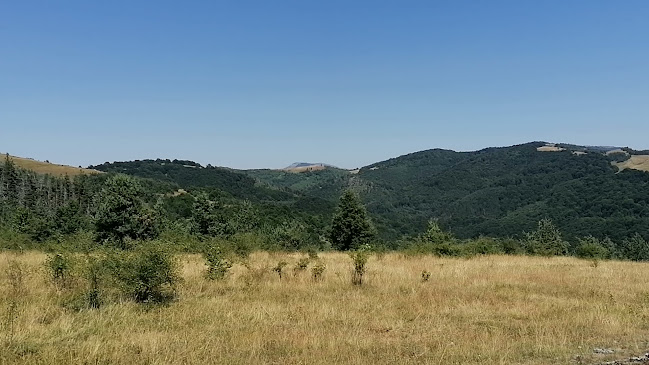 храм Свети Дух