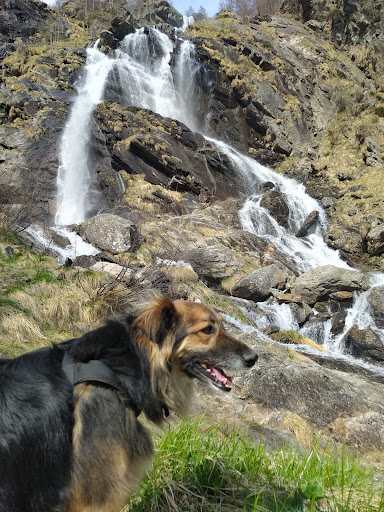 White Water Falls - Thumbnail