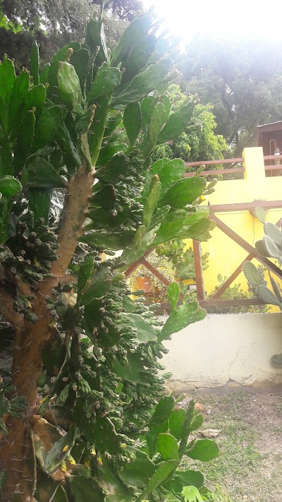 Photos of Villa Tranquila