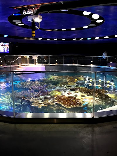 Aquarium