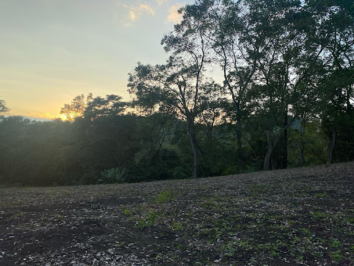 Finca Las Garzas - Thumbnail