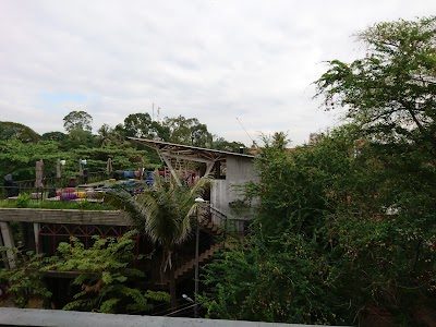 Photos of Safari Sushi Bar