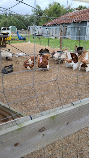 Almosta Ranch LLC - Thumbnail
