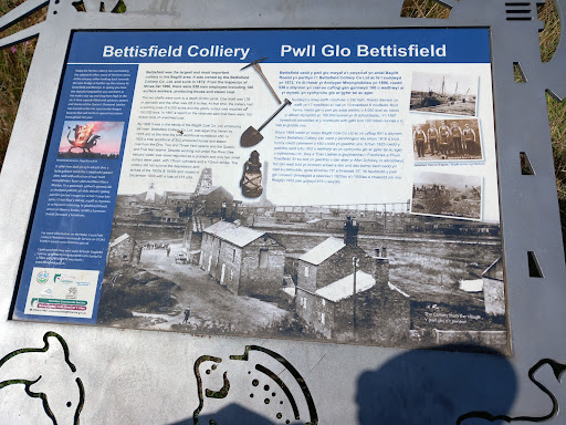 Bettisfield - Visual