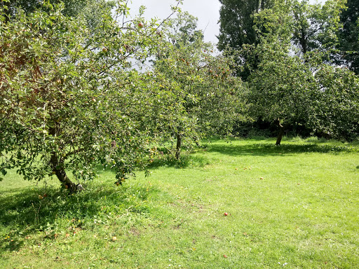 Cox's Orchard - Thumbnail