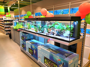 Photo n°3 de Maxi Zoo Mulhouse - Dornach à Mulhouse (Animalerie)