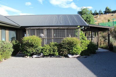 Photos of Kapiti Boutique Cattery