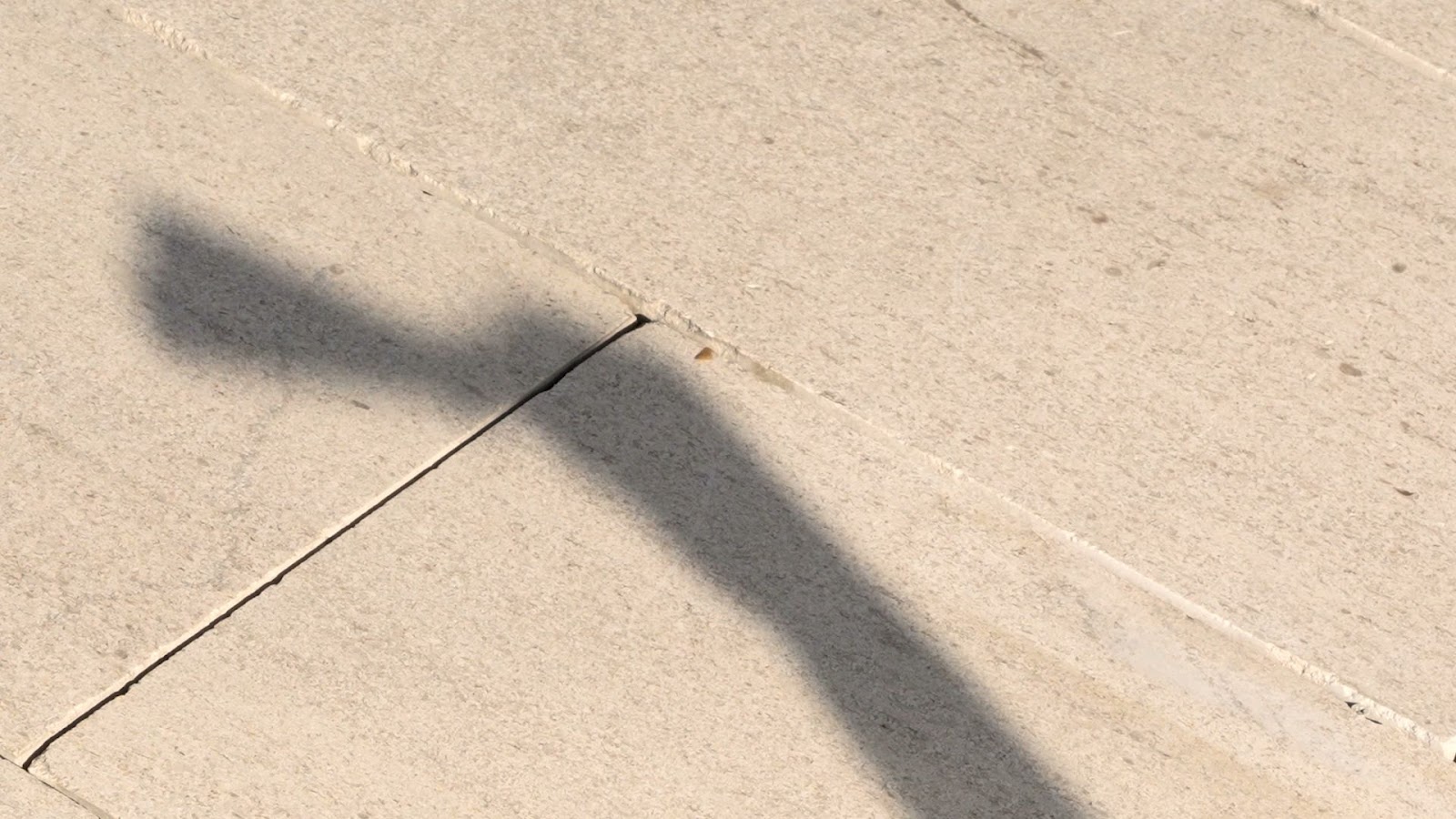 Sora Rooftop — photo 5