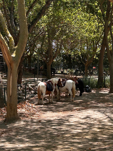 Parc des Sports de Bompas - Perpignan