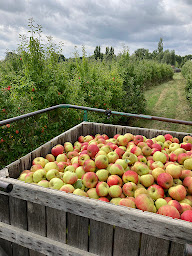 Photo n°2 de Les Jardins de Laurière à Feneu (Maraîcher)