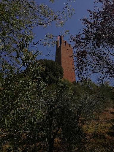 Gemignani Store - Visual