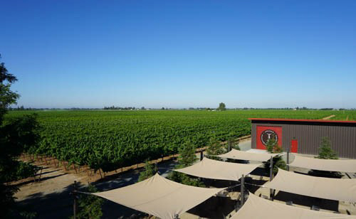 Acquiesce Winery by null