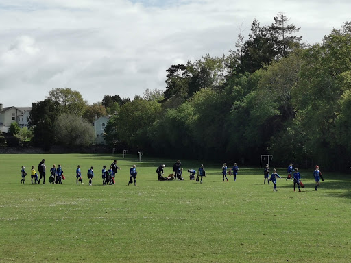 Devon FA - Visual