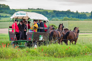 Photo n°1 de Le loisir est dans le pré à Cessieu (Centre de randonnée équestre)