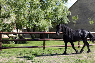 Photo n°5 de Ferme des Perelles à Saint-Vigor-le-Grand (Hébergement d'intérieur)