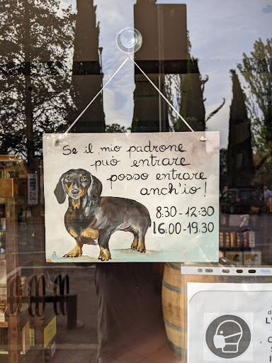 E Cantinoun - Visual