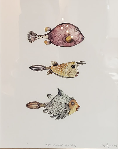 Dream Aquatics - Visual
