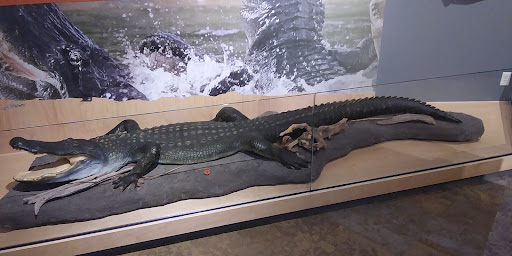 Red River Valley Museum - Thumbnail