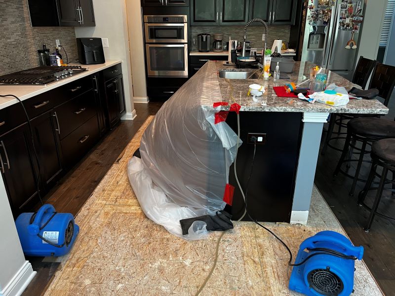Vela Water Damage photo