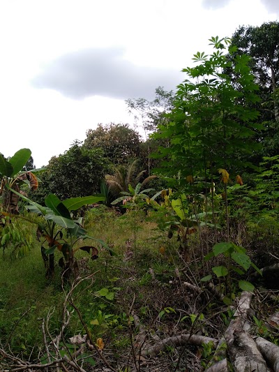 Photos of Waterfall Binusan