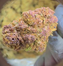 Photo n°8 de La Casa Verde CBD - Delta-9 THC - 10-ОН-HHC - CPM Strasbourg à Strasbourg (Magasin de cannabis)