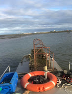 Huîtres Campagne & Fils à Parempuyre