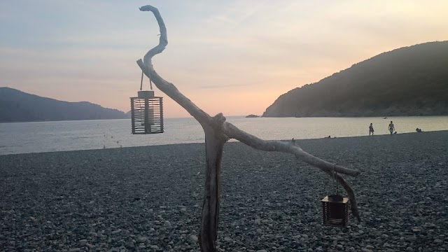 Belle plage de galets