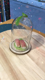 Photo n°18 de Restaurant sushi Amour (cuisine japonaise et coréen) à Martigues (Restaurant de spécialités asiatiques)