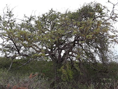 Photos of Landhuis Wechi