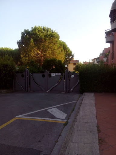 Dr. Bortone Domenico Walter - Thumbnail