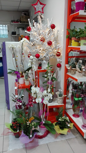 Floridéa - Visual