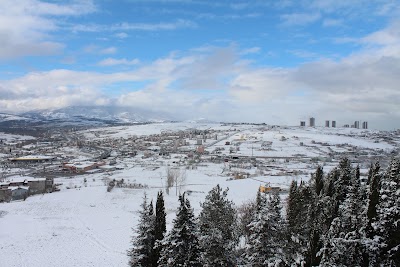 Çatalarmut Cemetery