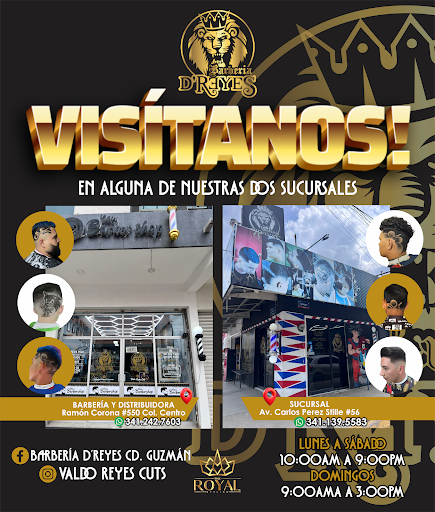 Barbería Reyes Ejidal