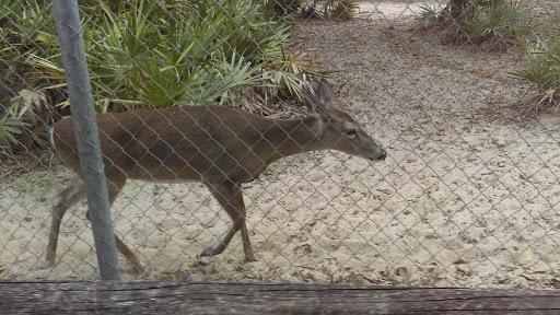 TECO Building at Nature's Classroom - Thumbnail