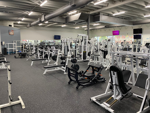 5in1 Fitness - Thumbnail