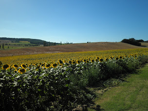 Photo n°22 de Domaine de la Vigne à Cadalen (Chambre d'hôtes)