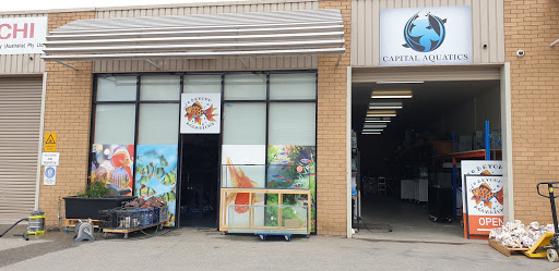 Capital Aquatics
