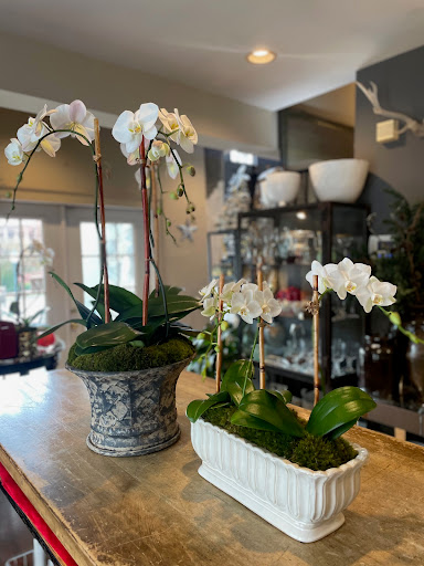 Lush Life Home & Garden Gallery - United States