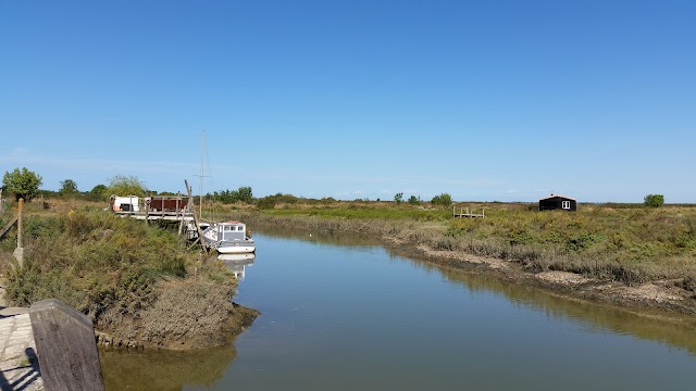 Mornac-sur-Seudre