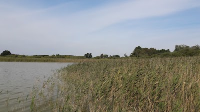Photos of Finkenwerder Hof