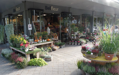 Belfleur Belfort