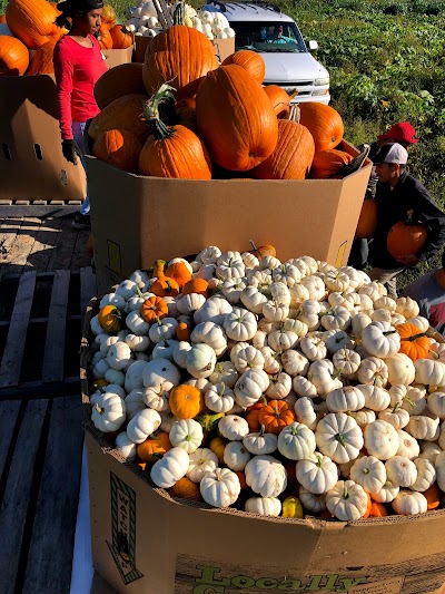 Donnell Century Farm Adventure