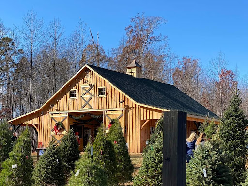 Tara Noel Christmas Tree Farm