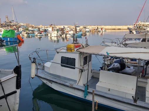 Puerto jaffa, Author: Roni Cohen