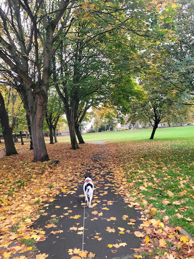 Lane Head Recreation Ground - Thumbnail