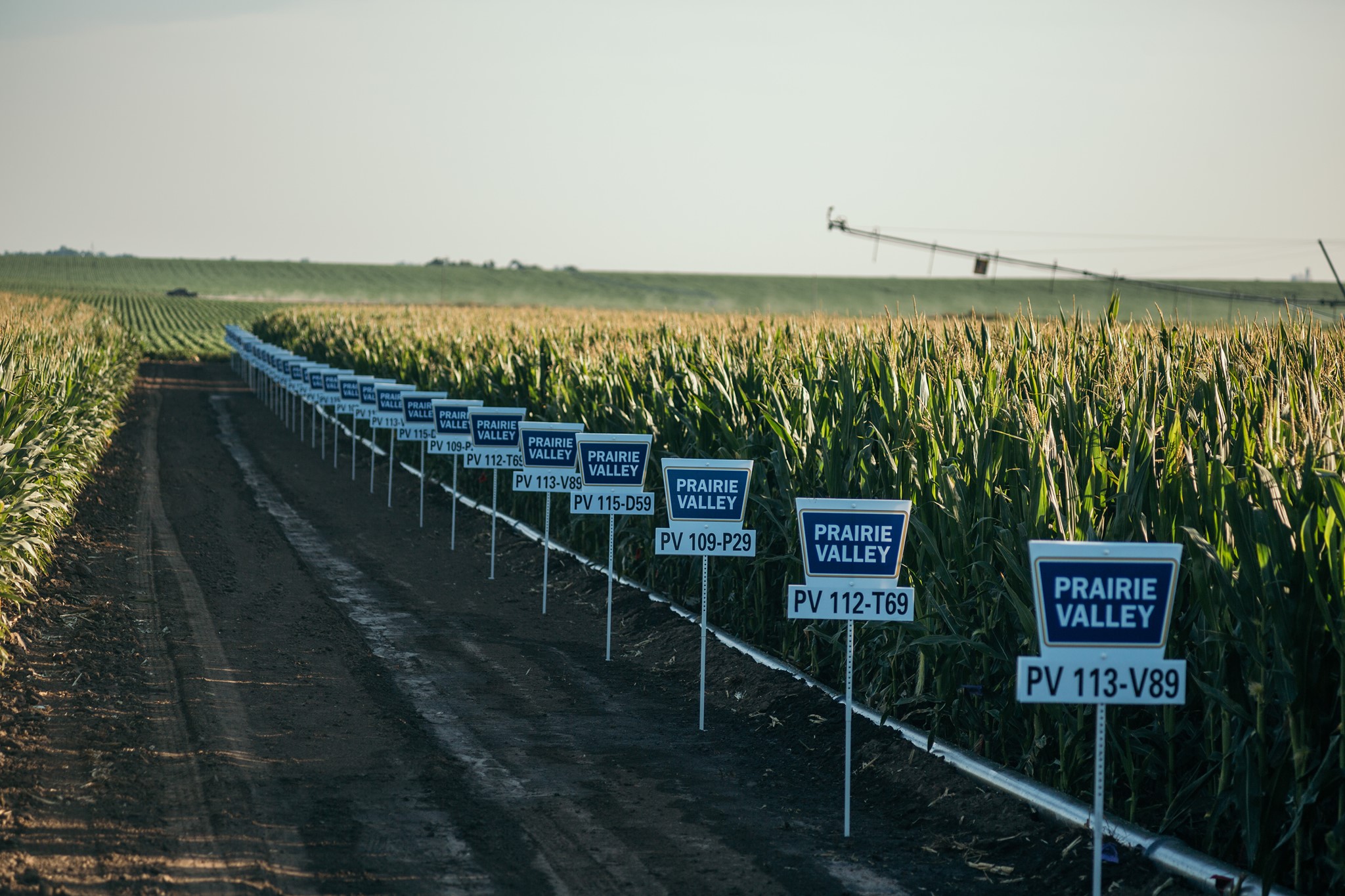 Prairie Valley Seed