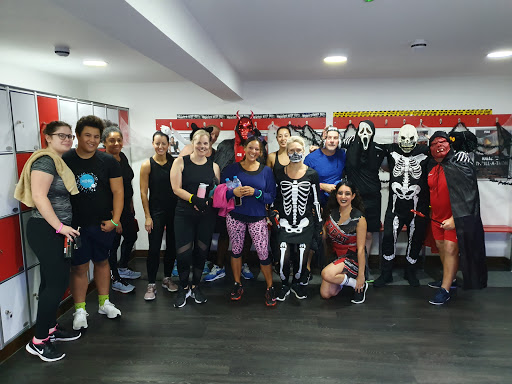 Peak Physique Studios - Visual