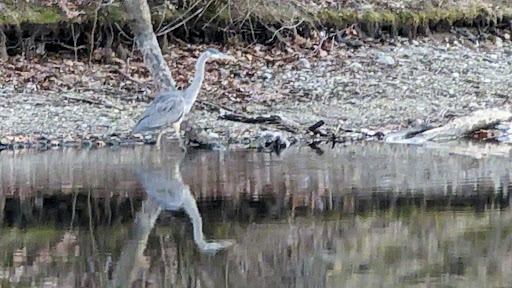 Dorothy Pond, Riverlin St Access - Thumbnail