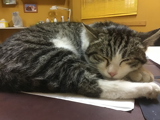 Centro Veterinario Fuentes de Ebro